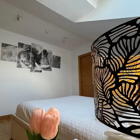 Διαμέρισμα Apartamentos Suites Olmedo *