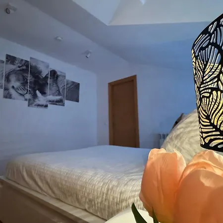 Apartamentos Suites Olmedo