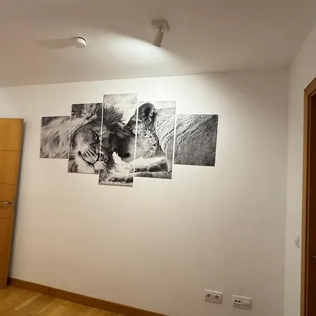 Apartamentos Suites Olmedo Olmedo