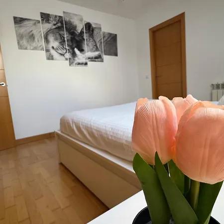 Apartamentos Suites Olmedo * Olmedo