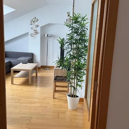 Apartamentos Suites Olmedo Apartment *