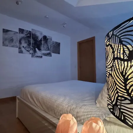 شقة Apartamentos Suites Olmedo أولميدو