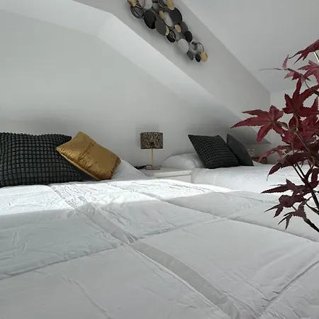 Apartamentos Suites Olmedo شقة أولميدو