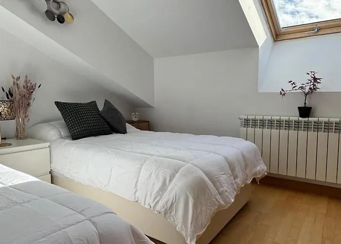 Apartamento Apartamentos Suites Olmedo *