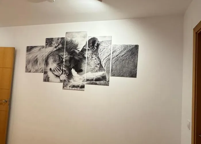 Apartamentos Suites Olmedo Olmedo