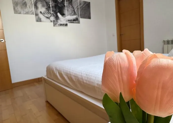 Apartamentos Suites Olmedo * Olmedo