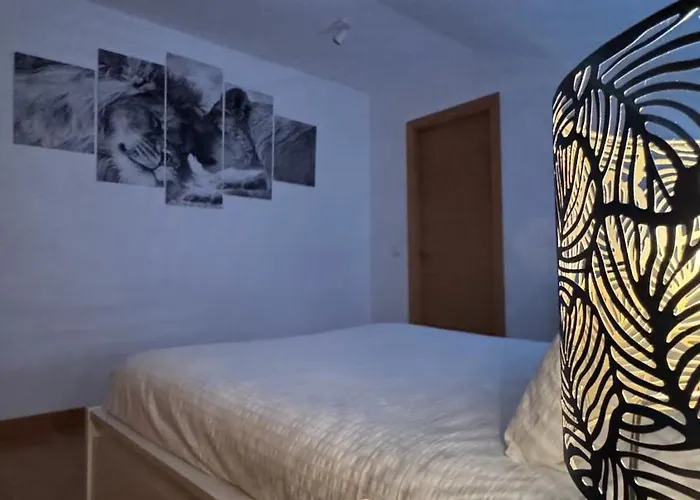 Apartamento Apartamentos Suites Olmedo Olmedo