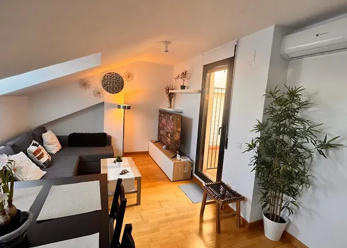 Apartamento Apartamentos Suites Olmedo *